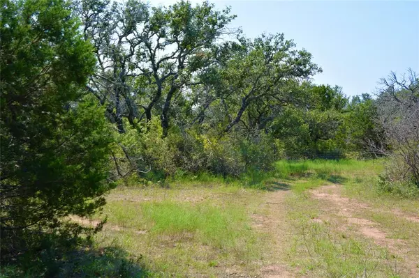 Mullin, TX 76864,163 S FM 573