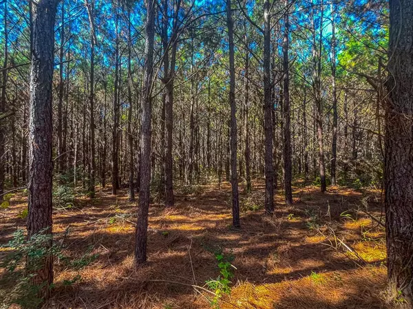 Nacogdoches, TX 75961,1410 Cr-545