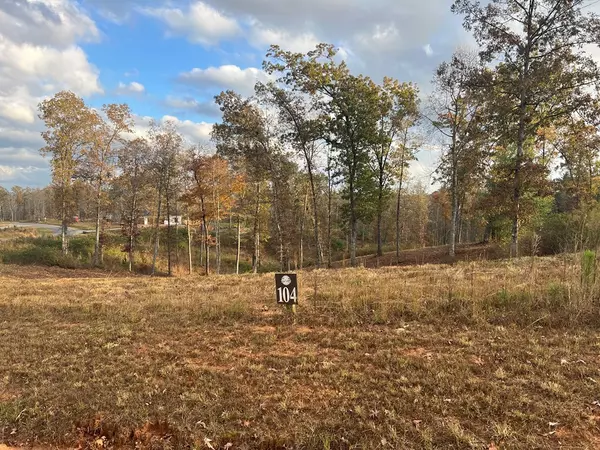 Ellijay, GA 30540,Lot 104 High River Road