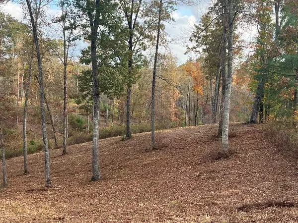 Ellijay, GA 30540,Lot 104 High River Road