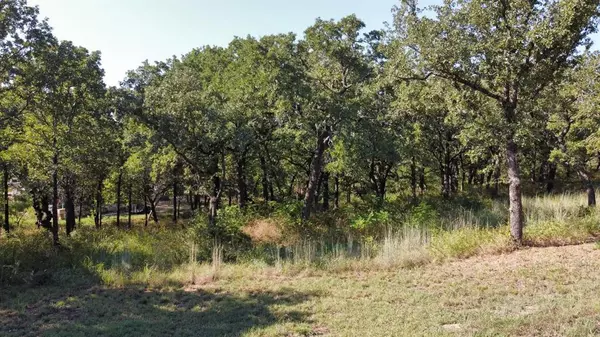 Nocona, TX 76255,TBD Lot 12 Casino Road