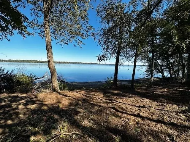 Legacy Shores Lot 21 3142 Shadow Pine Drive, Larue, TX 75770