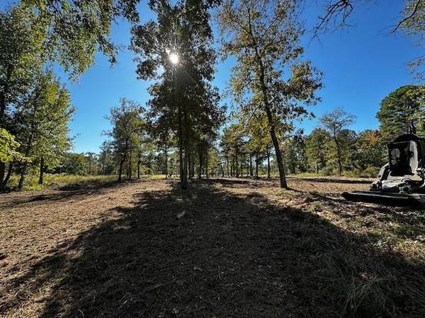 Larue, TX 75770,Legacy Shores Lot 21 3142 Shadow Pine Drive