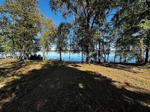 Larue, TX 75770,Legacy Shores Lot 21 3142 Shadow Pine Drive