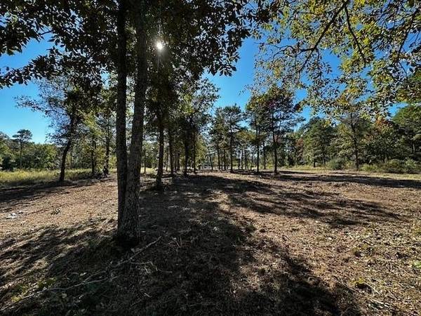 Larue, TX 75770,Legacy Shores Lot 21 3142 Shadow Pine Drive