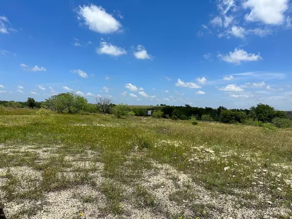 Dublin, TX 76446,Lot 1 Highway 6