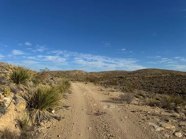 15 Predator West, Terlingua, TX 79852