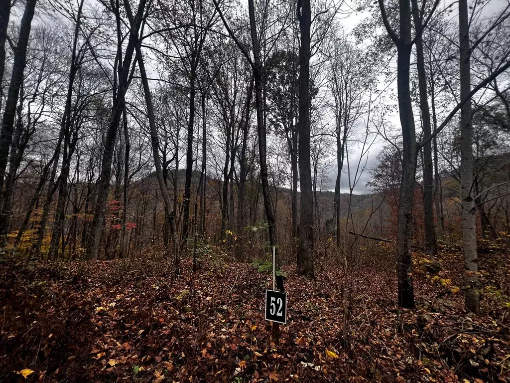 Jamestown, TN 38556,Lot 52 Apache Rd