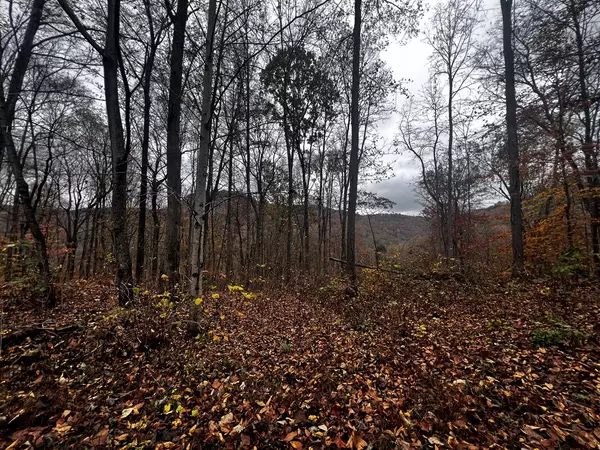 Jamestown, TN 38556,Lot 52 Apache Rd