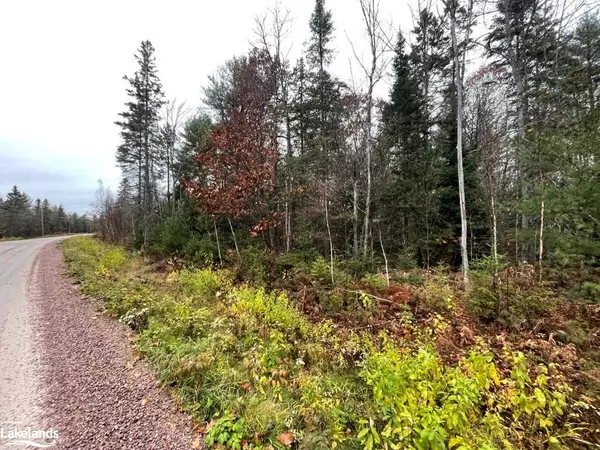 French River / Rivière Des Français, ON P0M 1A0,125 RIVERVIEW DR DR