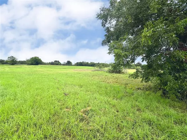 Streetman, TX 75859,Lot 131 Lake Vista Drive