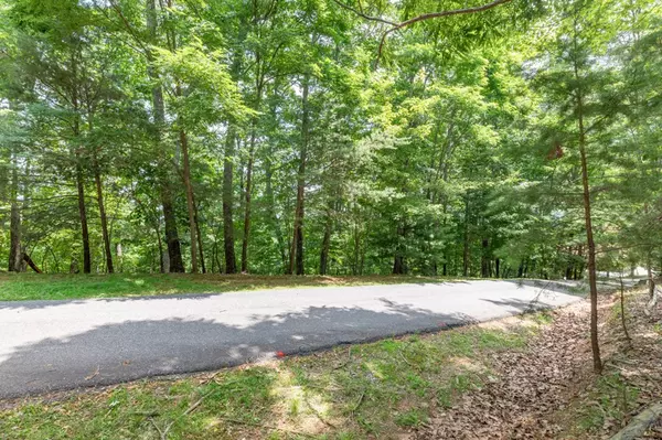 Blairsville, GA 30512,Lot 115 Laurel Brooke