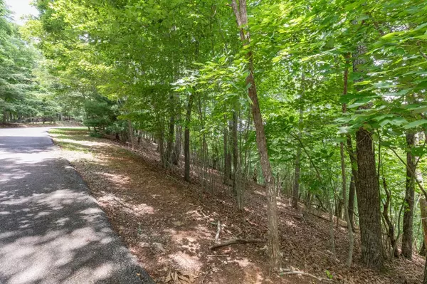 Blairsville, GA 30512,Lot 115 Laurel Brooke