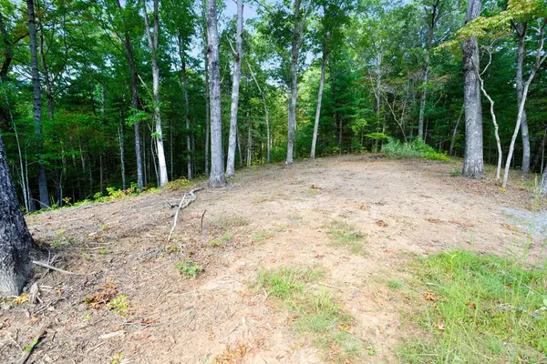 Murphy, NC 28906,00 Nature Valley Trail