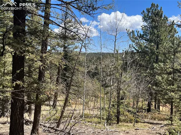 Divide, CO 80814,121 W Lake DR