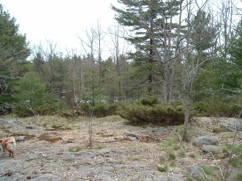 550 Baxter Island N/A S, Georgian Bay, ON L0K 1S0