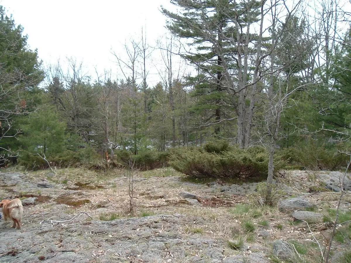 Georgian Bay, ON L0K 1S0,550 Baxter Island N/A S