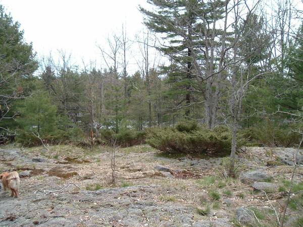 550 Baxter Island N/A S, Georgian Bay, ON L0K 1S0