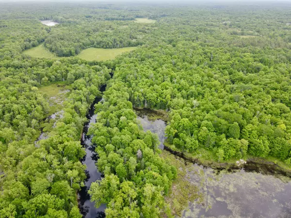 Kawartha Lakes, ON L0K 2B0,0 Black River RD