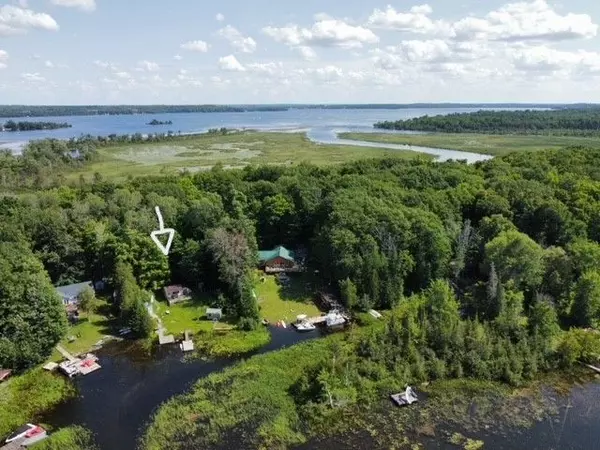 66 Dewey's Island N/A, Kawartha Lakes, ON K0M 1N0