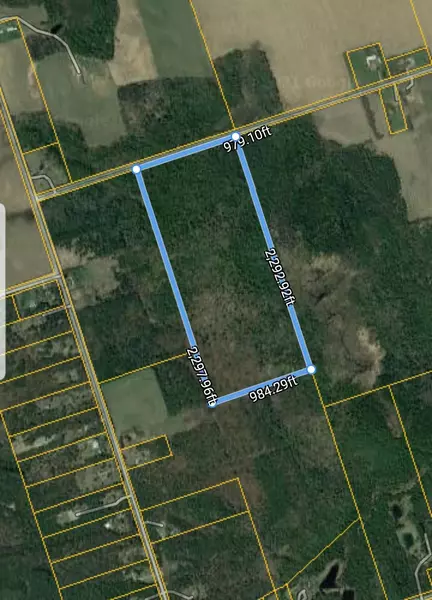 0 Ballyduff RD, Kawartha Lakes, ON L0A 1K0