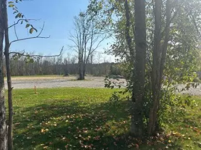 Kawartha Lakes, ON K0M 1N0,LOT 45 River RD