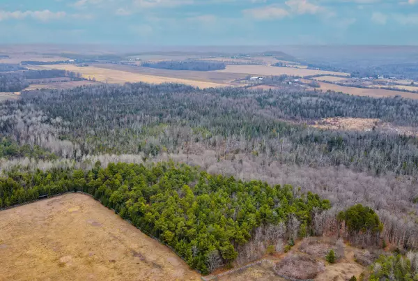 Kawartha Lakes, ON L0A 1K0,0 Ballyduff RD