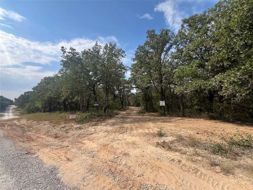 Bridgeport, TX 76426,TBD Lot 4 Private Road 3204