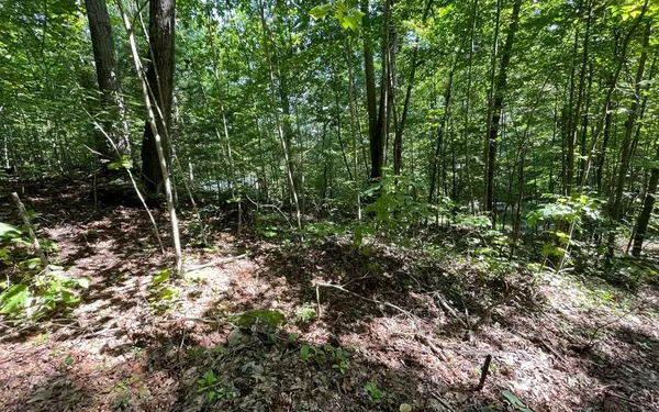 Lot 8D Eagle Heights, Hiawassee, GA 30546