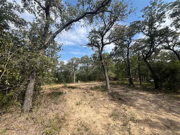 Bridgeport, TX 76426,TBD Lot 4 Private Road 3204