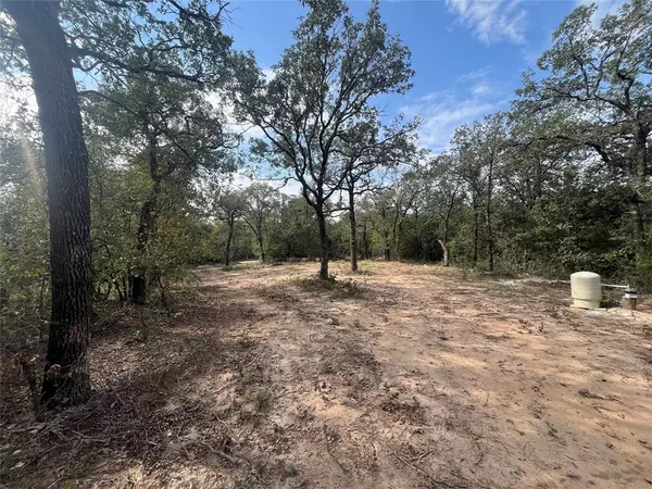 Bridgeport, TX 76426,TBD Lot 4 Private Road 3204