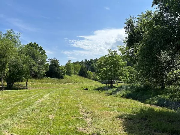 8.86 ac Fort Chiswell Rd, Max Meadows, VA 24360