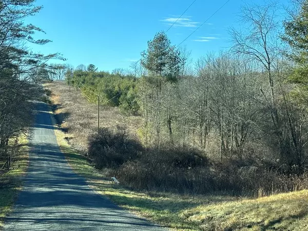 TDB Pine Branch Rd, Laurel Fork, VA 24352