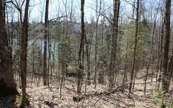 Highlands East, ON K0M 1R0,0 Contau Lake RD