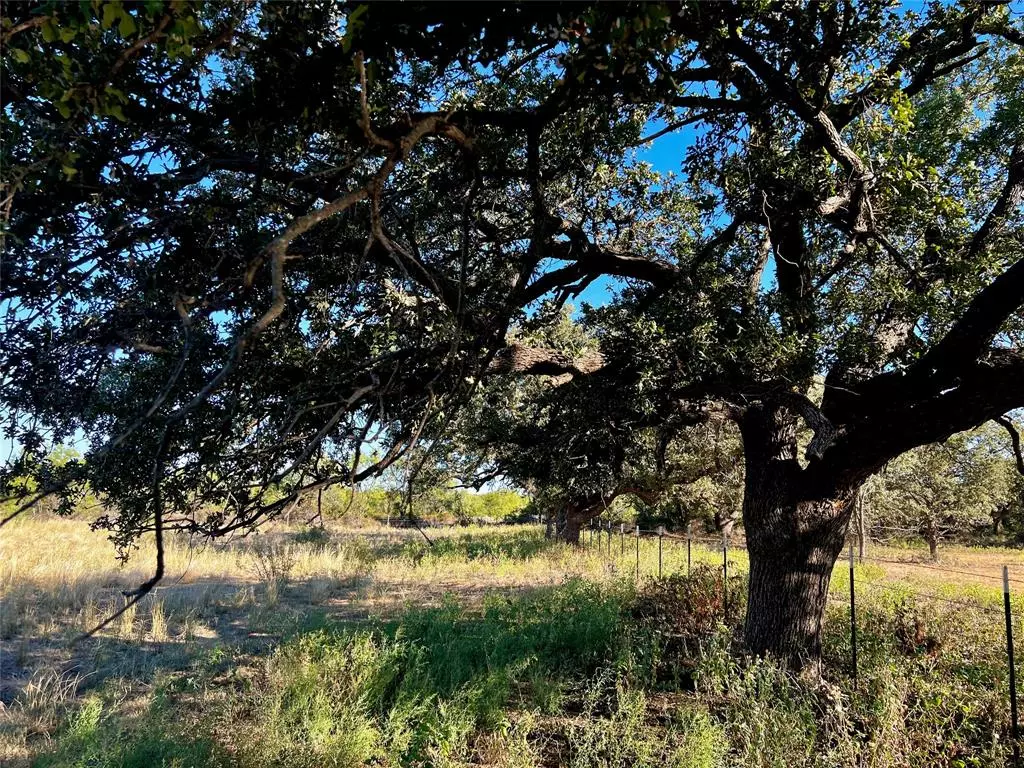 Bangs, TX 76823,1207 N West Street