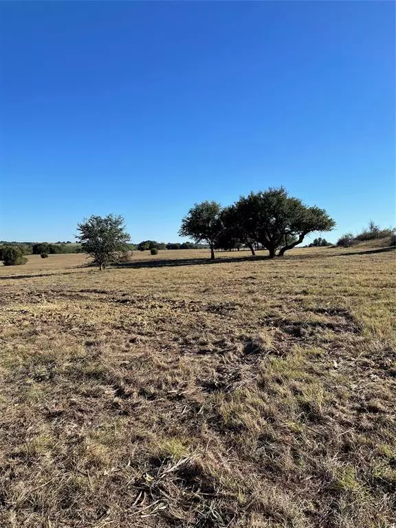 233` County Road 444,  Dublin,  TX 76446