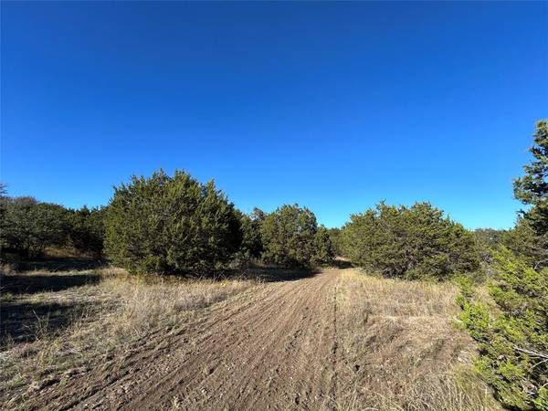 Weatherford, TX 76085,TBD Wells Lane