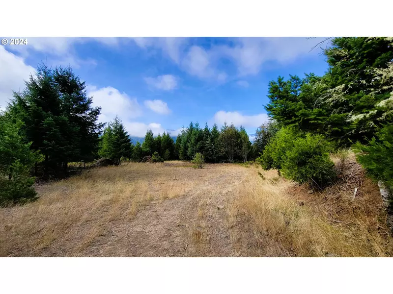 Laurel Butte DR, Oakridge, OR 97463