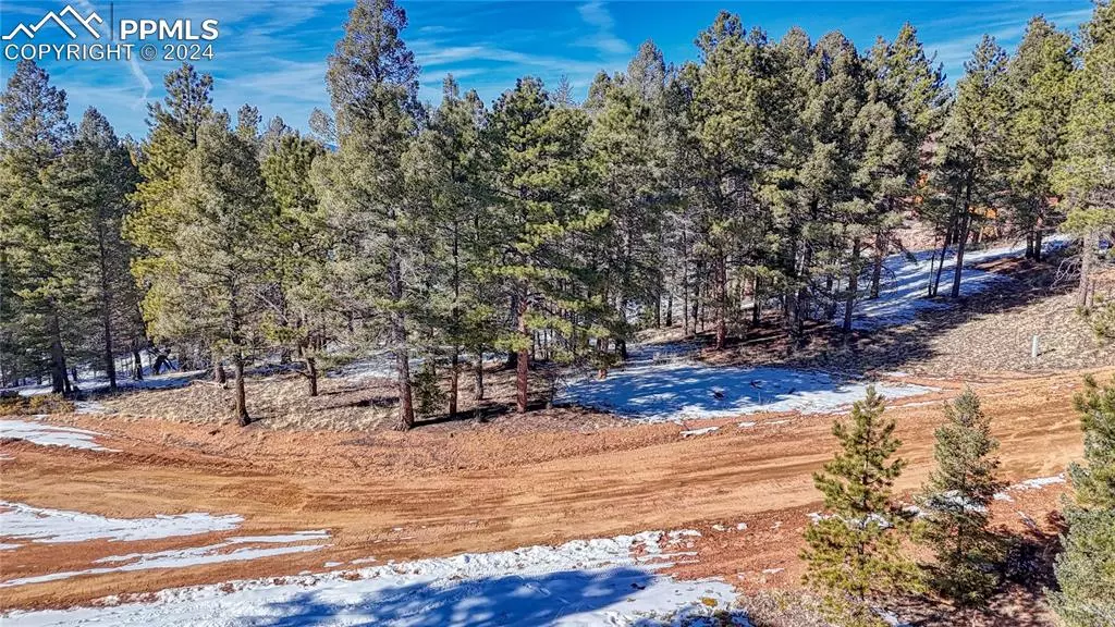 79 Huntsman CIR, Florissant, CO 80816