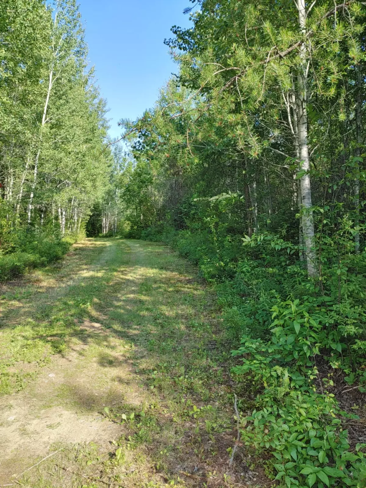 Timiskaming Remote Area, ON P0J 1M0,LOT 5 CON 1 RD