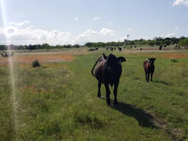 Lampasas, TX 76550,7947 CR 1255