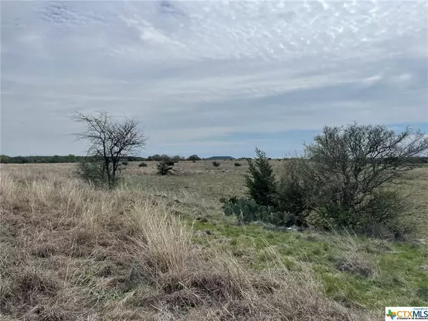 Kempner, TX 76539,Lot 9 Cottonwood Mesa Drive