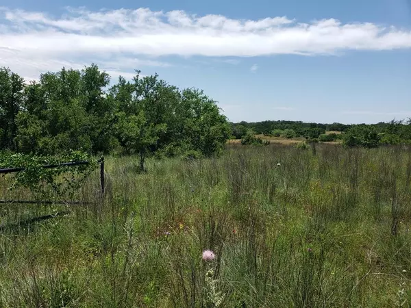 Lampasas, TX 76550,TBD Lot 37 FM 580 E 0123 E