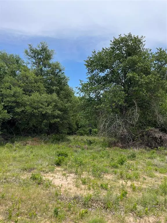 Poolville, TX 76487,Lot 96 Kilkenny Rd