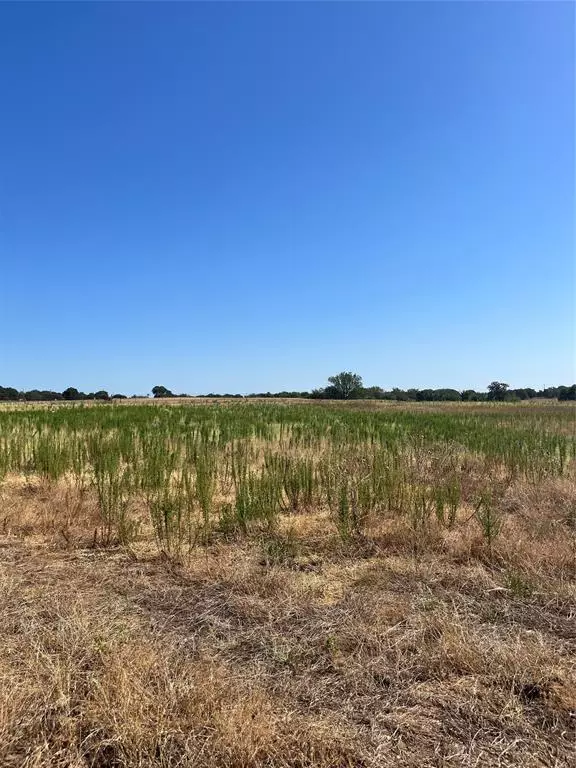 Poolville, TX 76487,Lot 57 Kilkenny Rd