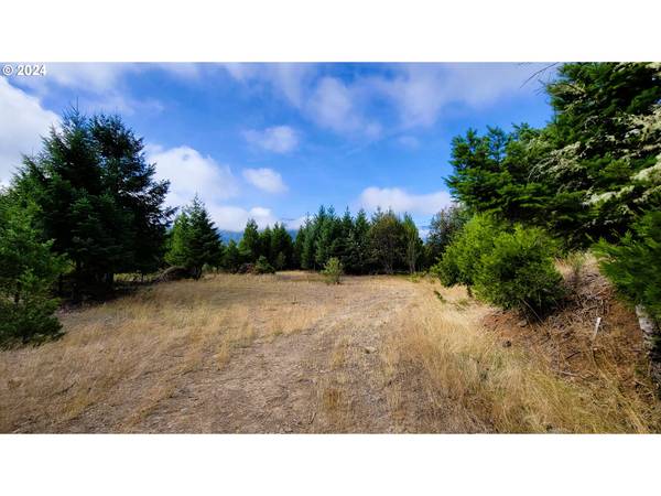 Laurel Butte DR, Oakridge, OR 97463