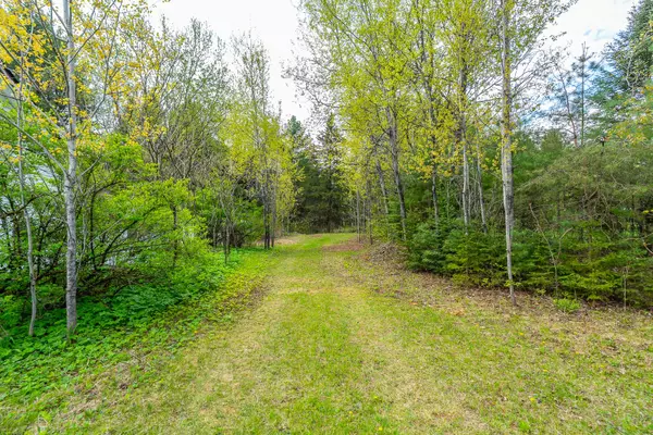 0 The Avenue N/A, Kawartha Lakes, ON K0M 2A0