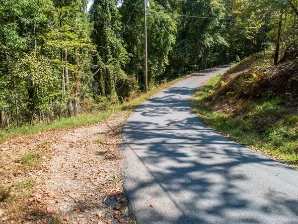 Blue Ridge, GA 30513,1003 Sunrock Mountain Road