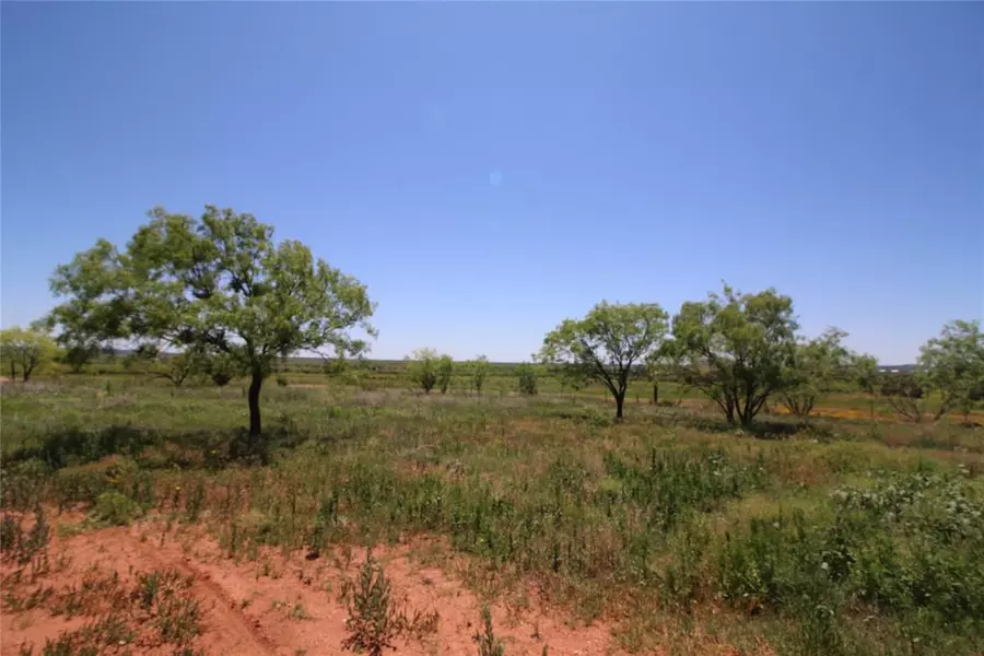 Lot 1 Marshal Trail, Tuscola, TX 79562