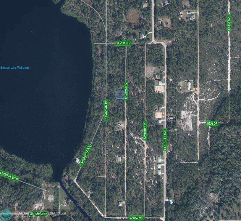 Sebring, FL 33875,6601 Balsam Pl